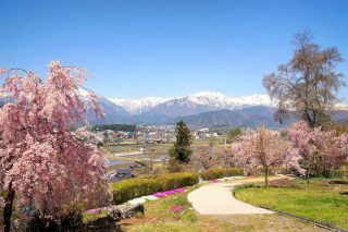 市民の森