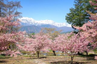 市民の森