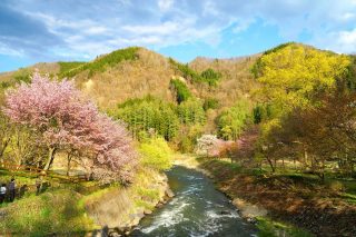 大出の吊橋