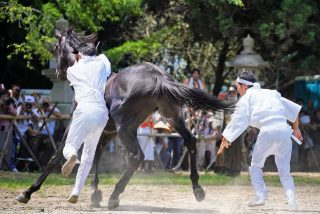 相馬野馬追