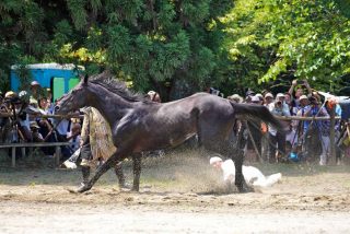 相馬野馬追
