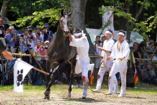 相馬野馬追
