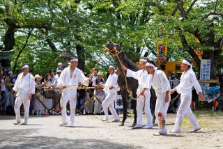 相馬野馬追