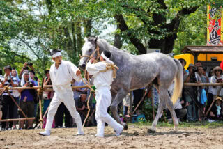 相馬野馬追