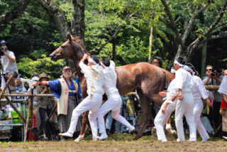 相馬野馬追