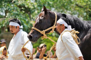 相馬野馬追