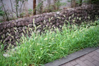 FUJINON 50mm F1.4