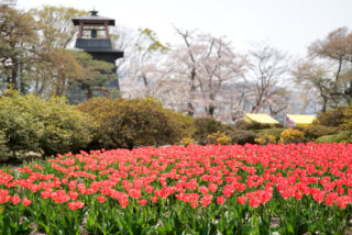 沼田公園