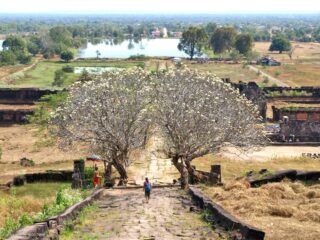 Wat Phu