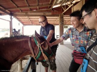 Farm Chokchai