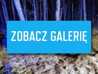 Wypadek na DK32 - Wypadek koło Zielonej Góry. Ford Mustang rozbity