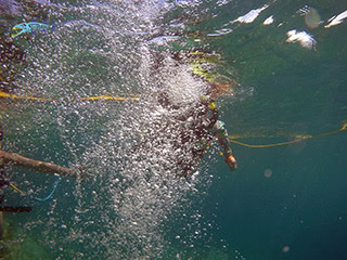 Bubbles rising around a SNUBA participant underwater