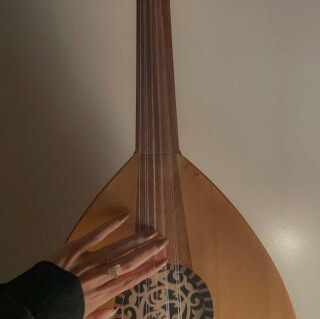 صور العود الموسيقي.