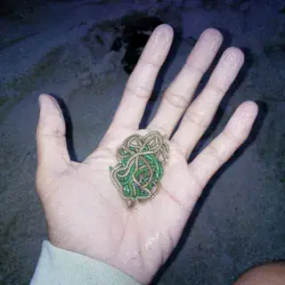 Ciri Polychaeta Baunyale di Pantai Sager, Pulau Lombok