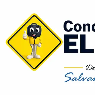 Conductor Elegido – Servicio Profesional Desde El 2012