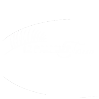 Le Palmier Tour