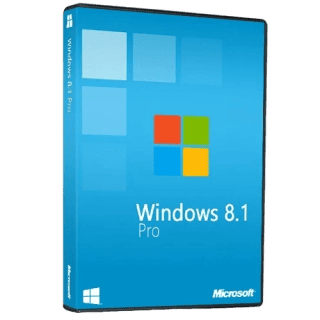 windows 8.1 Professional