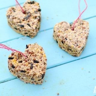 Heart Shaped Bird Seed Favors