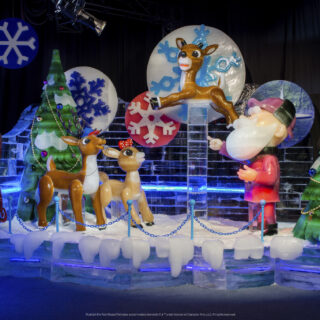 2024 Gaylord Texan Ice Promo Code