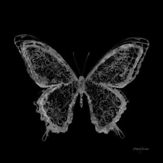 خلفيات فراشات.