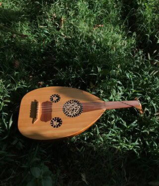 صور العود الموسيقي.