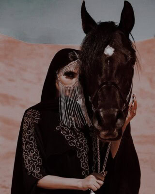 صور خيل عربي أصيل