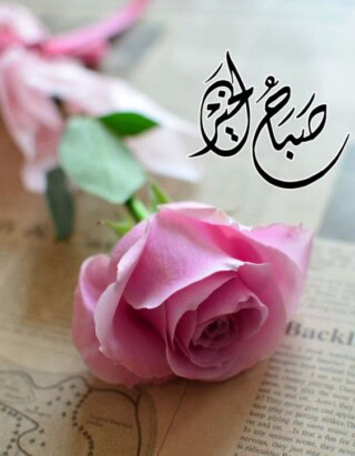 صور عن الصباح.