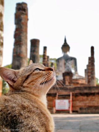 Sukhothai