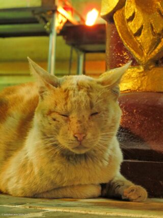 Sule Pagoda