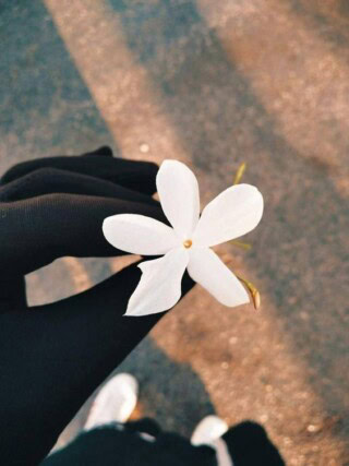 رمزيات كيوت للبنات المنتقبة.