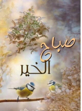 رمزيات صباحيه جميله.