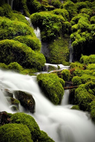 صور مناظر طبيعيه.