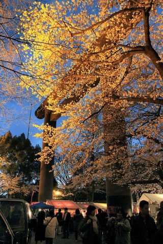 靖国神社