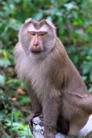 Khao Yai National Park