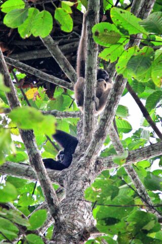 Khao Yai National Park