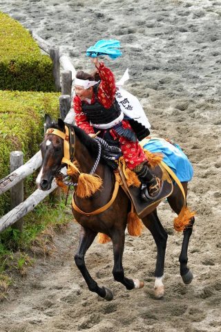 相馬野馬追
