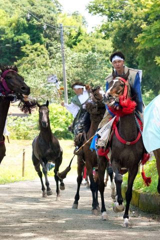 相馬野馬追