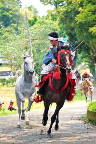 相馬野馬追