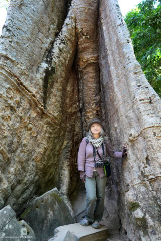 Ta Prohm