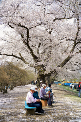 沼田公園