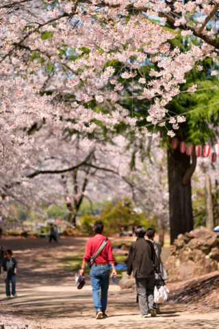 沼田公園