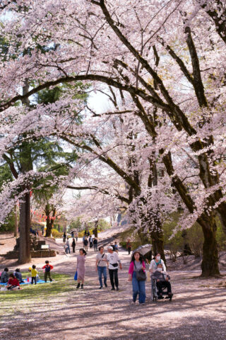 沼田公園