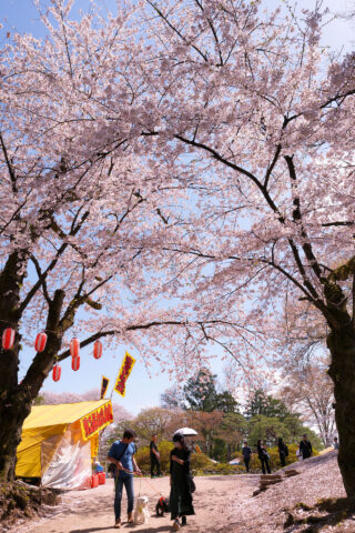 沼田公園