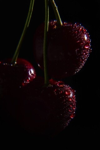 صور كريز.