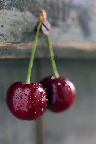 صور كريز.