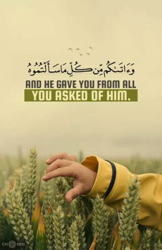 كذلك خلفيات آيات قرآنية.