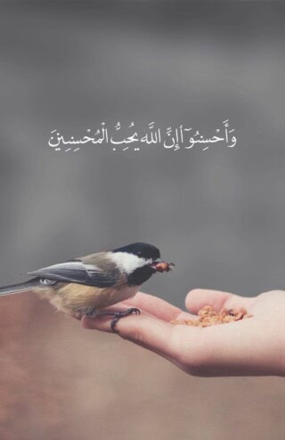 بروفايل آيات من القران الكريم.