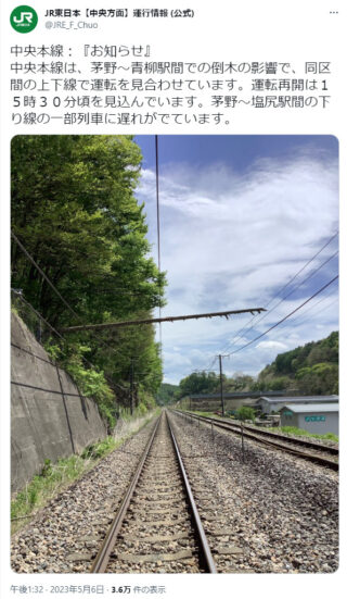 倒木事故