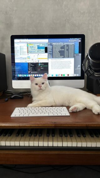 Kenji
