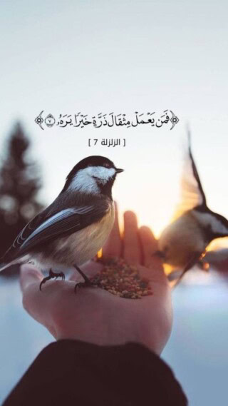 بروفايل آيات من القران الكريم.